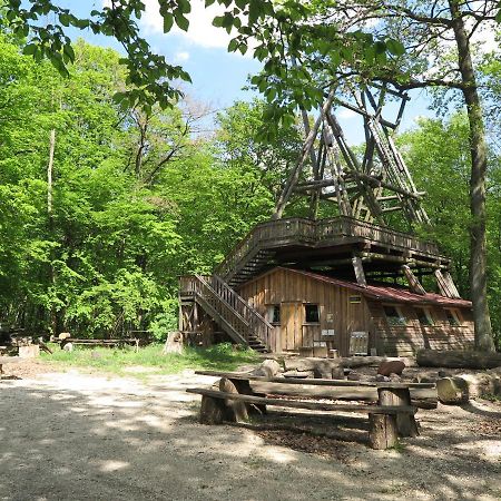 Villa OCHYS Waldfreizeitpark Oberkreuzstetten Exterior foto
