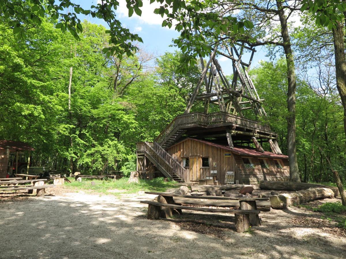 Villa OCHYS Waldfreizeitpark Oberkreuzstetten Exterior foto